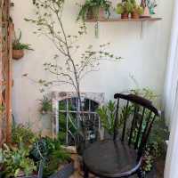 植物に癒されるヘリダンキルブランチカフェ