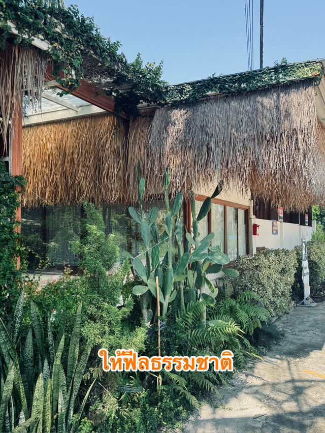 📍Rimbua cafe& resturant  ทานอาหารริมน้ำ!