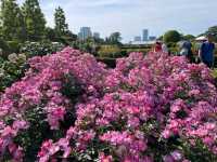 Shinjuku Gyoen National Garden: A Serene Oasis Amidst the Urban Jungle