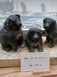 【稚内市青少年科学館:北海道稚内市】貴重な南極探索の展示がある科学館☃️