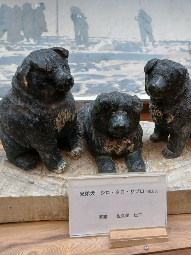 【稚内市青少年科学館:北海道稚内市】貴重な南極探索の展示がある科学館☃️