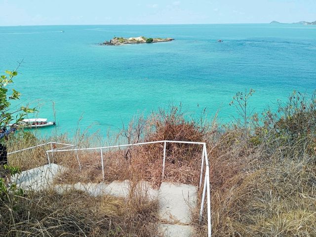 ล่องเรือดูปลา เกาะแสมสาร