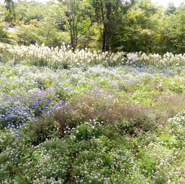 名花之里日式花園