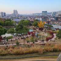 【韓国/水原】紅葉が映える秋の水原華城🍁