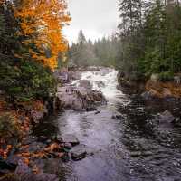 Autumn in Quebec: A Symphony of Colors