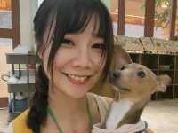 台場Animeal 近距離接觸各種超可愛動物