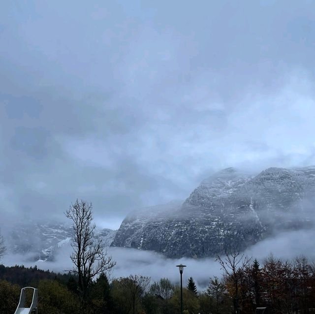 秋冬上特勞恩，綠色草地秋葉與雪山