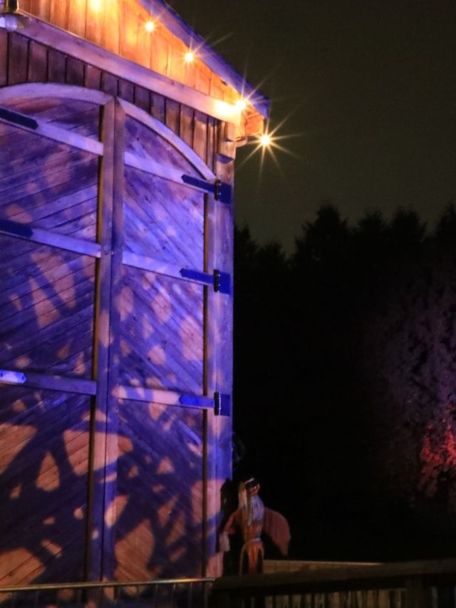 【バーナビー🇨🇦】カナダでハロウィンを楽しもう🎃