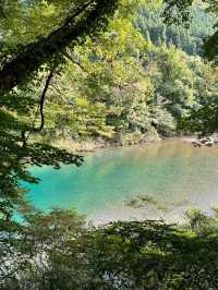 日本🇯🇵自然之美🥰抱返溪谷‼️東京出發短線3日2夜之選