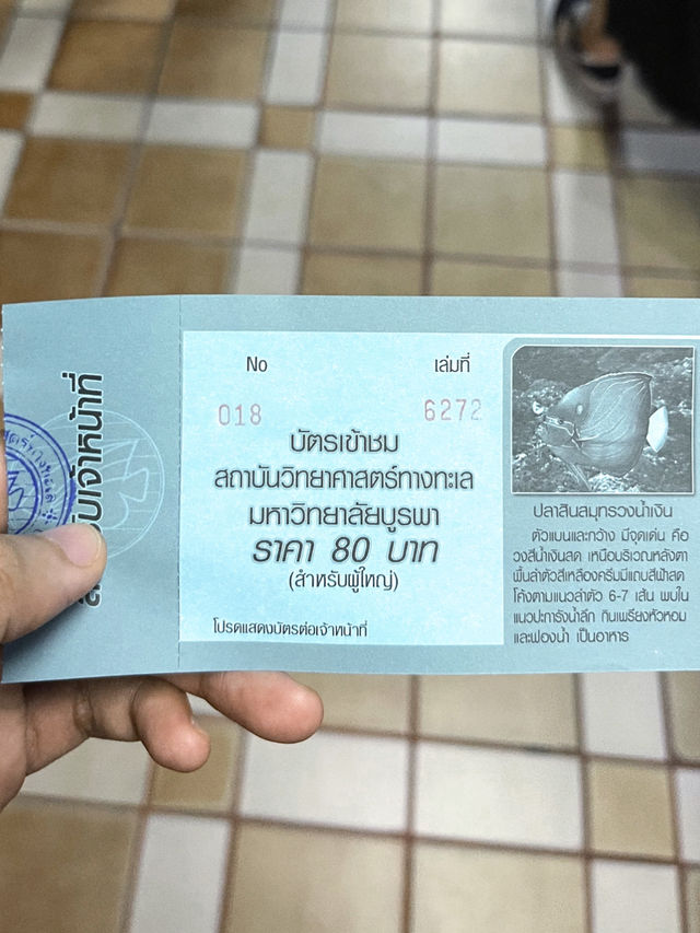 พาเที่ยวอควาเรียมบางแสนโซนใหม่ 🐡✨