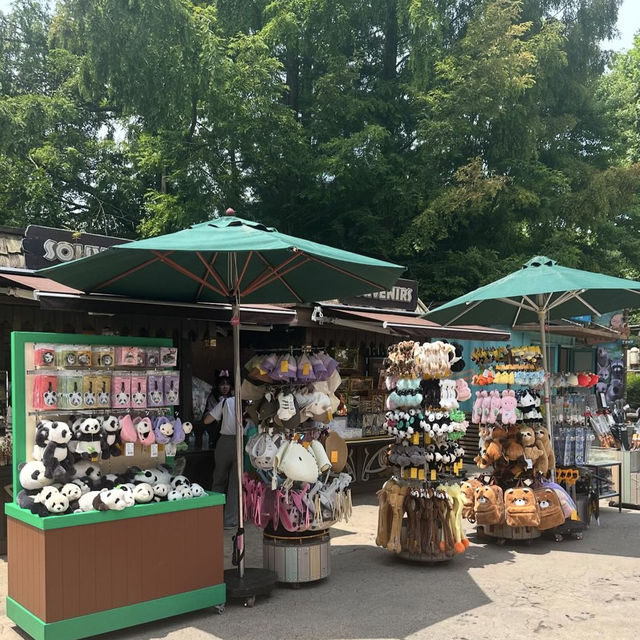 【韓国】遊園地と動物園がセットになったエバーラント🐼
