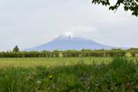 Discover the Majestic Beauty of Mount Fuji in Japan