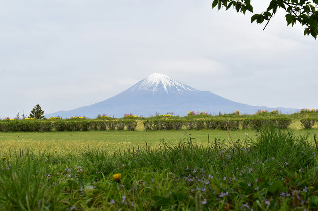 Discover the Majestic Beauty of Mount Fuji in Japan