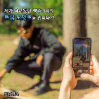호주 브리즈번 로네파인 코알라 상투아리🇦🇺