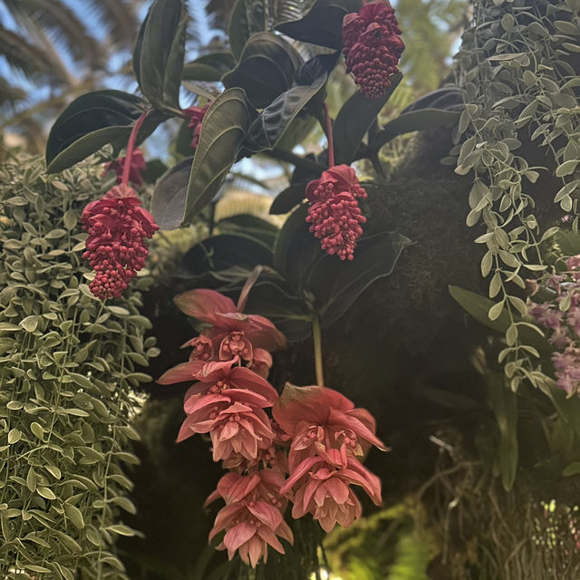 Garden of Eden?!