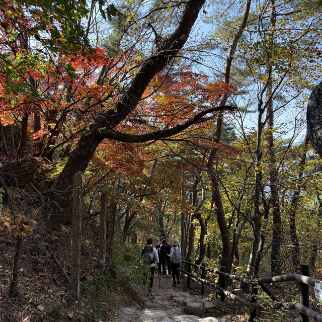 가을의 절경을 품은 북한산, 백운대에서 만나는 서울의 단풍 파노라마🍁