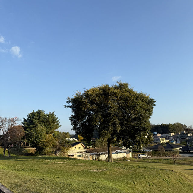🏯 고즈넉한 역사 산책, 부여 부소산성 🌳