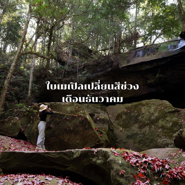 15ข้อควรรู้ก่อนมาภูกระดึง