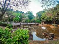 Embracing History at Rizal Park