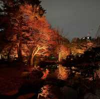 札幌🇯🇵中島公園的日與夜🍁