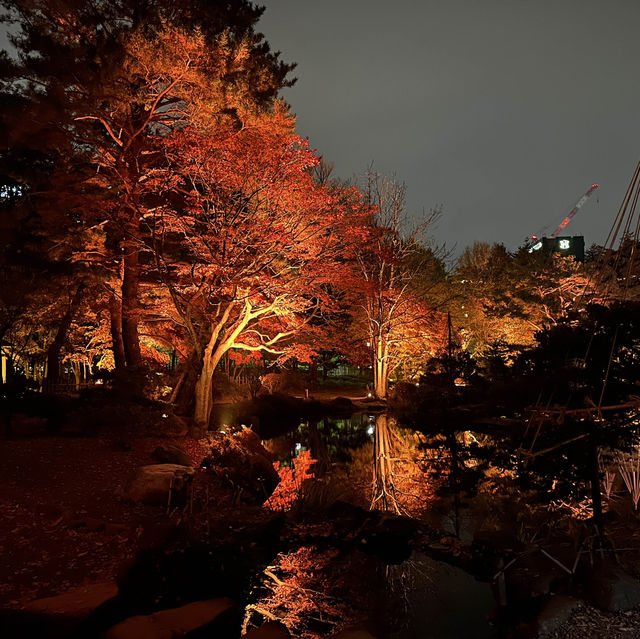 札幌🇯🇵中島公園的日與夜🍁
