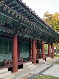 대구 도심 속 단풍 여행을 할 수 있는 경상감영공원 다녀왔어요🍂