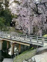 【岡山　後楽園】