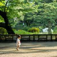 景點推薦：井之頭恩賜公園，自然與藝術的完美結合