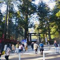 Pathway to Serenity: Strolling Through Nikko’s Ancient Cedars