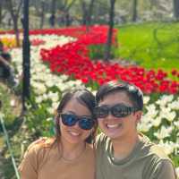Taiziwan Park - The best place for Tulips in Hangzhou