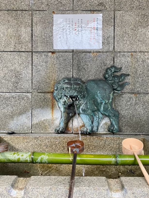 Beautiful day at Lion Shrine Namba❤️