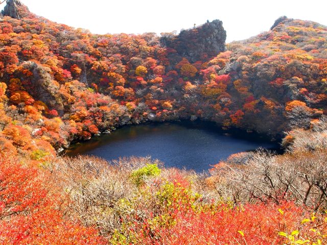 【大分県】くじゅう連山でもっとも美しい紅葉！大船山