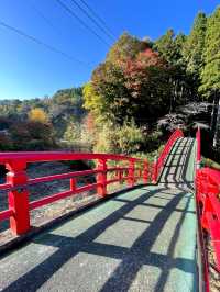 【千葉×紅葉🍁】水面に映し出される紅葉と湾曲した赤い橋