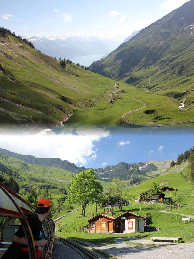 Brienz Rothorn Bahn: A Magical Summer Ride in Switzerland