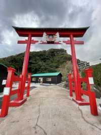 山口観光⛩️山口県屈指のパワースポット⛩️元乃隅神社🦊