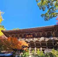 賞楓秘境推薦〔圓教寺摩尼殿〕， 莊嚴幽靜的千年古寺