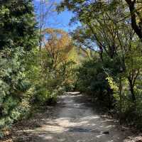 Hoshida Park และ สะพานแขวน Hoshi no Buranko