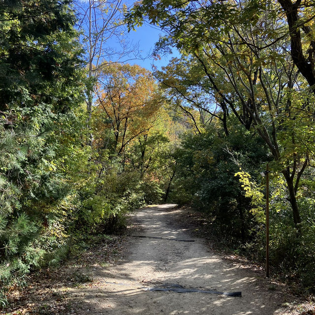 Hoshida Park และ สะพานแขวน Hoshi no Buranko