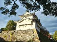 秋天の名古屋城