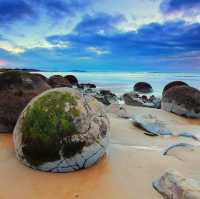 newzealand