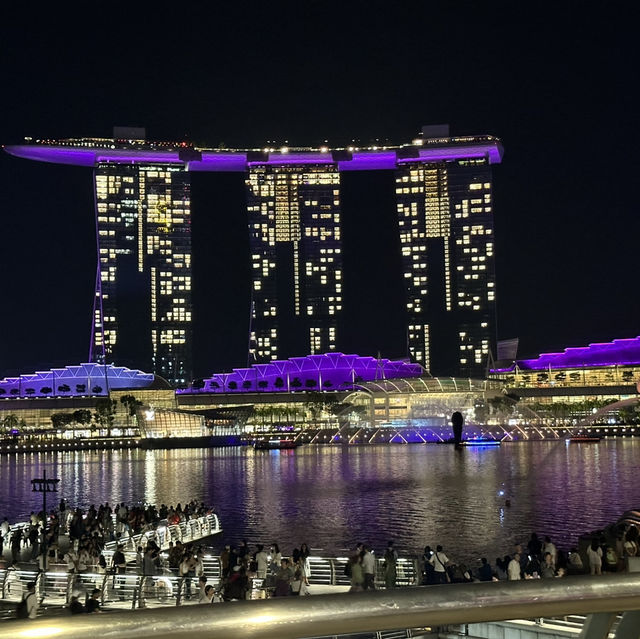シンガポール🇸🇬大都会と歴史ある国❗️そして綺麗❗️