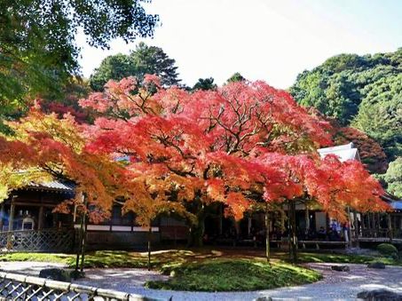 福岡🇯🇵雷山千如寺