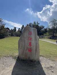 🌟台中之旅：探索審計新村、清景農場與合歡山日出🌟