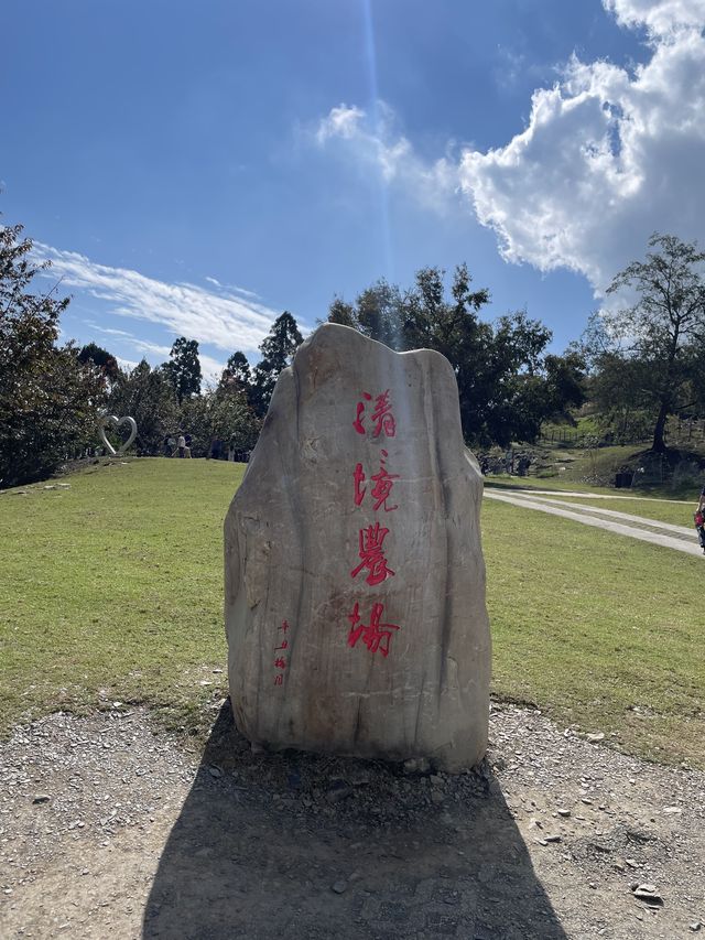 🌟台中之旅：探索審計新村、清景農場與合歡山日出🌟