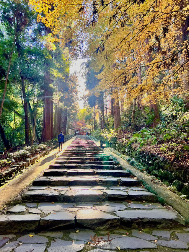 仙台景點 瑞鳳殿