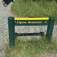 Hiking beneath the fiords