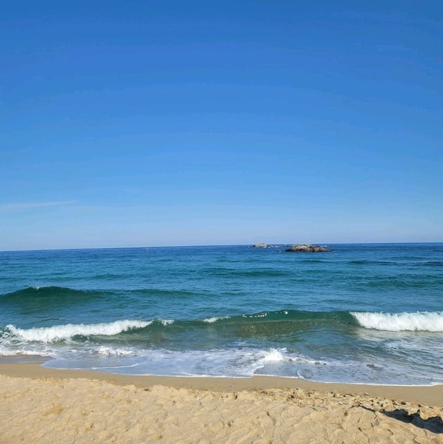 🌊강릉 경포 앞바다, 모래사장과 액티비티의 완벽 조화!☀️