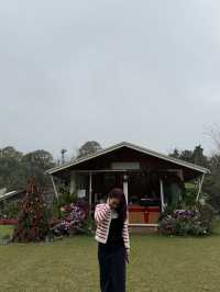 🎄22 Aquarius Glamping Cafe คาเฟ่บนดอยอินทนนท์