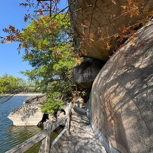 金灣金山公園：陽光下的自然☀️