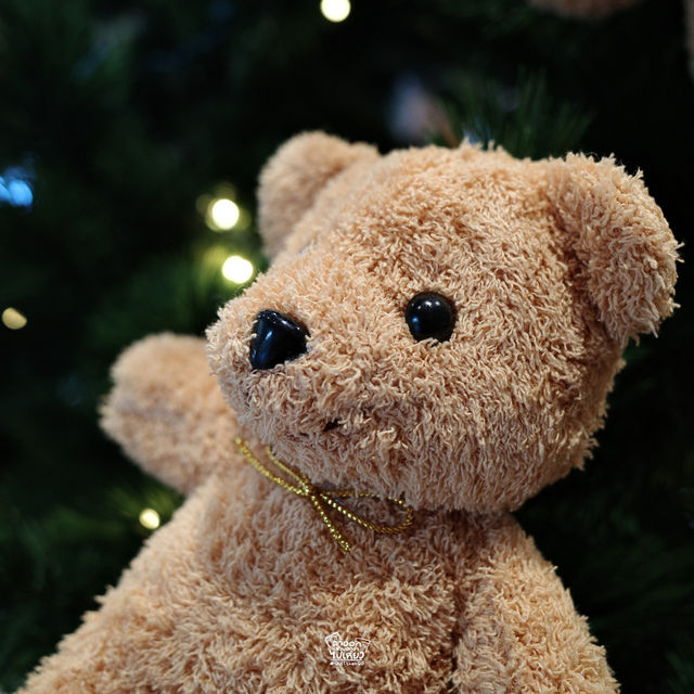คาเฟ่ที่หันไปทางไหนก็เจอแต่น้องหมี 🧸